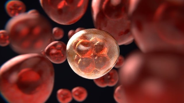 Peptide Therapy in Las Vegas, NV